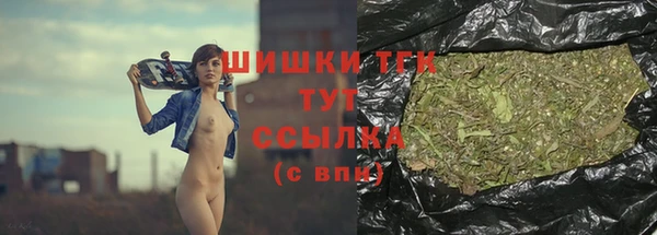 прущие грибы Слюдянка