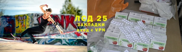 хмурый Аркадак