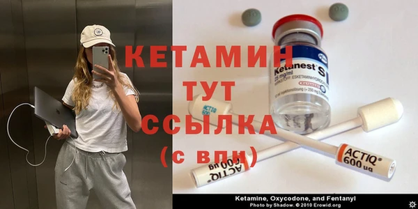 трава Арсеньев