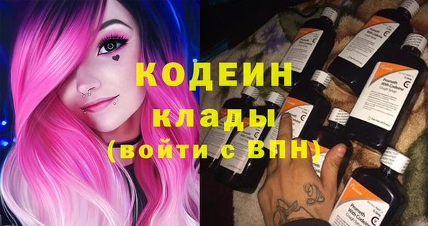 шишки Сатка