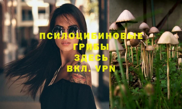 эйфоретик Армянск