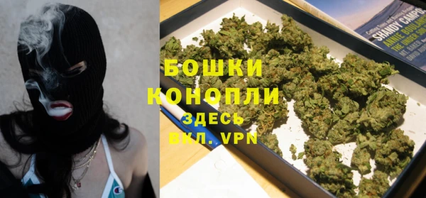 хмурый Аркадак