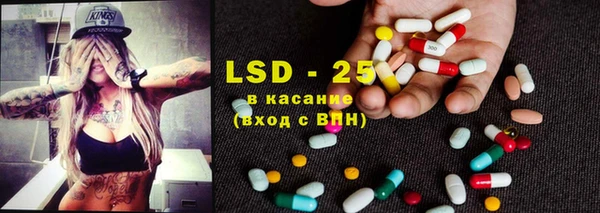 хмурый Аркадак