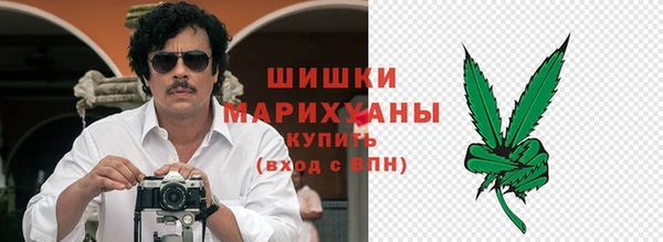 хмурый Аркадак